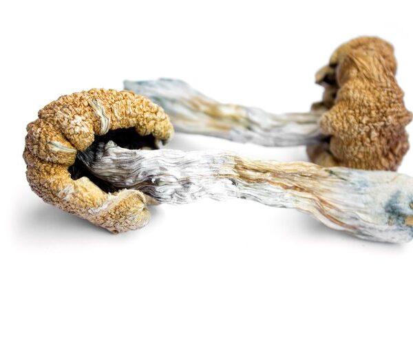 Buy Liberty Cap in the UK and Europe