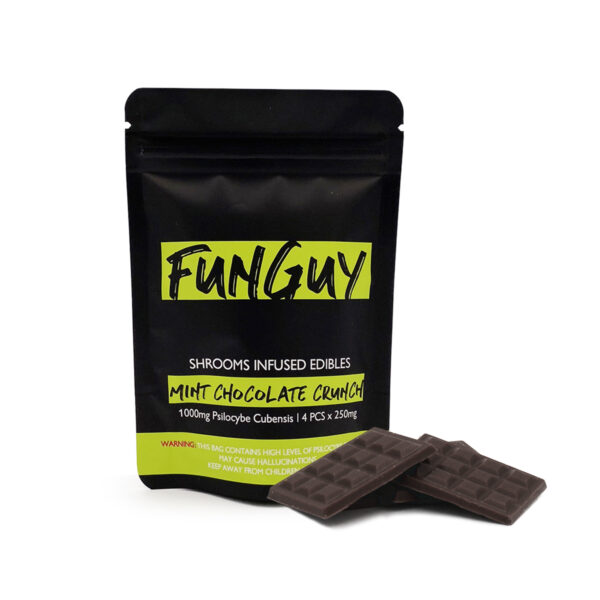 FunGuy Mint Chocolate Crunch UK